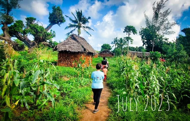 Ongoing assistance and follow up